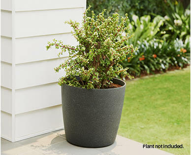 Decorative Garden Pot