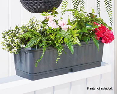 Box Planter
