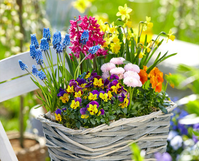 Bunter Frühling