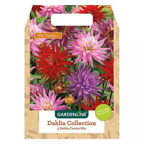 Mixed Spring Bulbs - Assorted Varieties