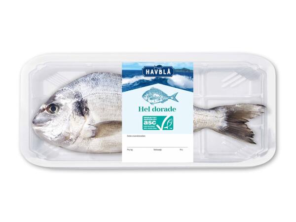 Hel dorade