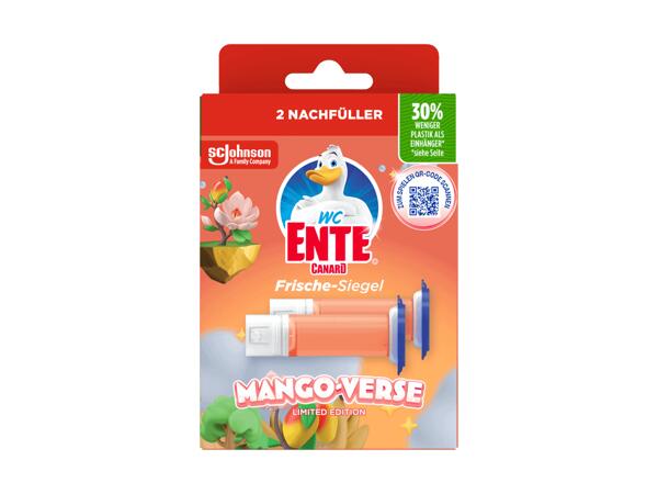 Recharge pierre WC Canard WC, pack de 2