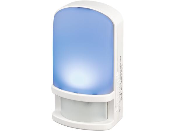LED Night Light