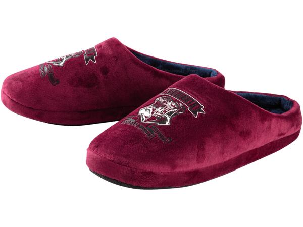 Harry Potter Slippers