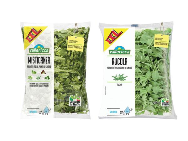 Rocket or Mixed Salad XXL