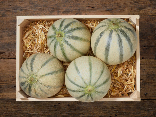 Melon Cantaloup