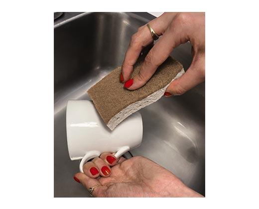 Radiance 
 Coconut Scour Pad or Walnut Scrub Sponge