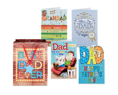 Father's Day Large Cards/Gift Bags