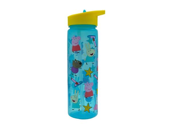 Zak 600ml Character Water Bottle