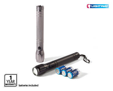 Heavy Duty Torch