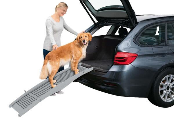 Dog Ramp