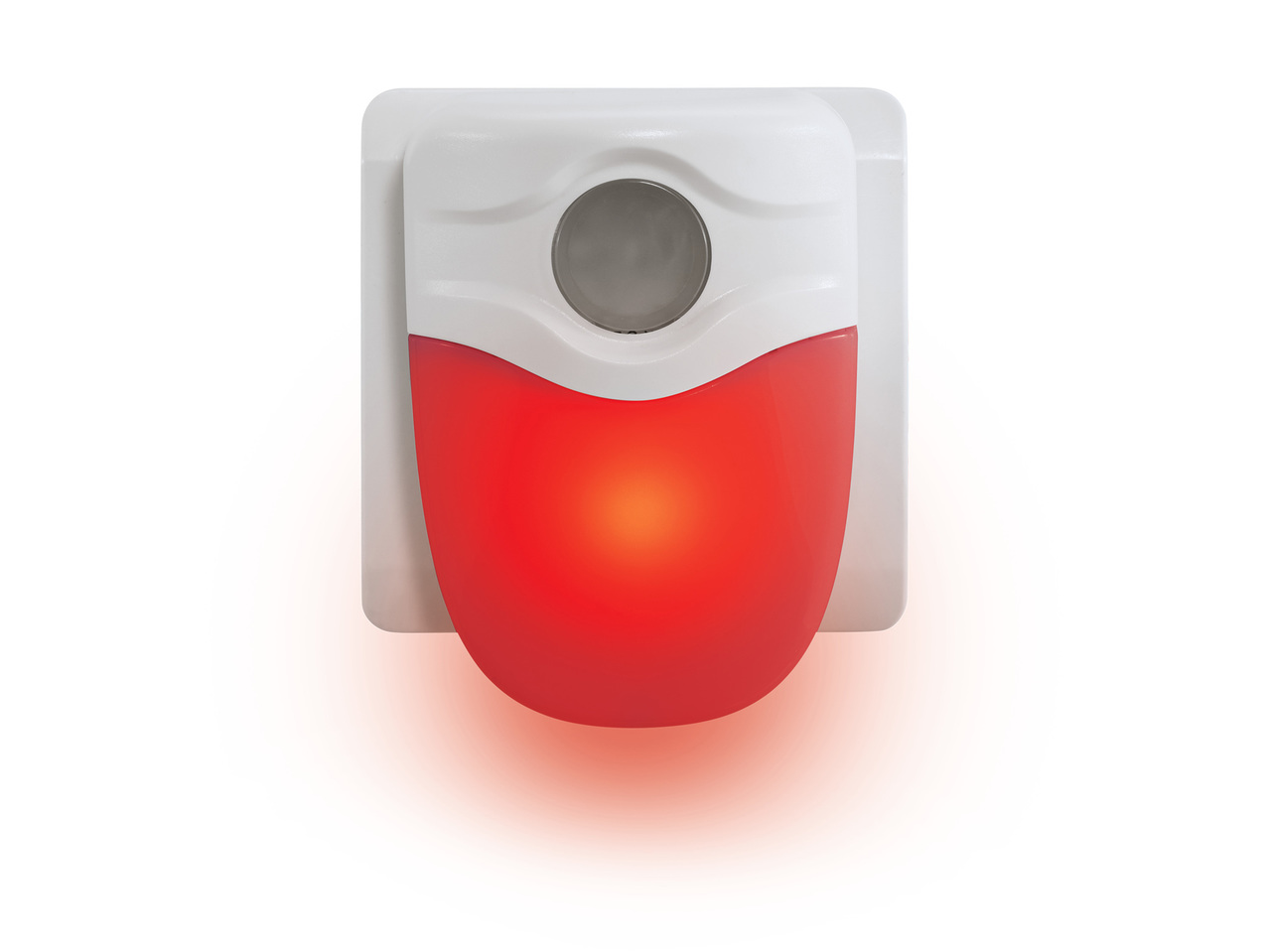 LED Night Light