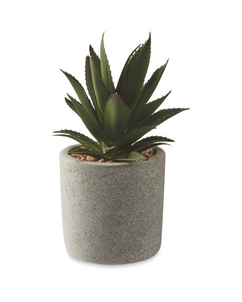 Artificial Aloe Vera Stone Pot