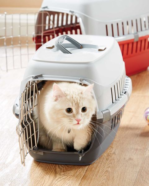 Pet Collection Small Pet Carrier