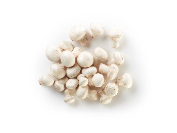 Mushrooms