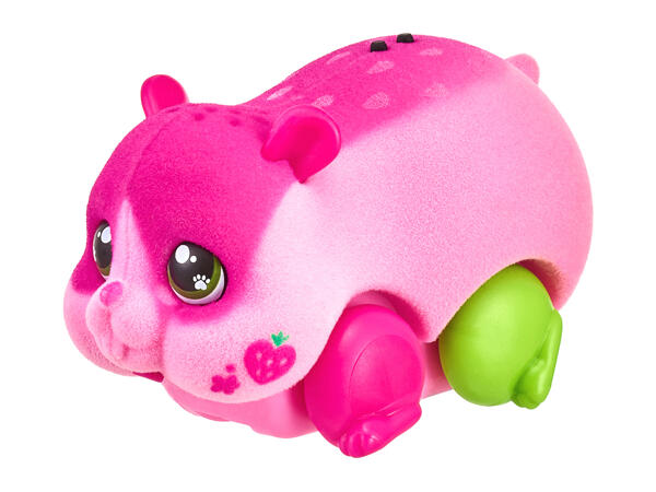Little Live Pets Assortment