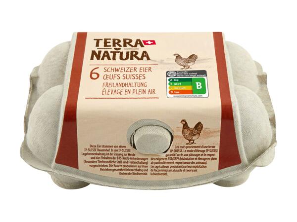 Œufs suisses Terra Natura (uniquement au Tessin)