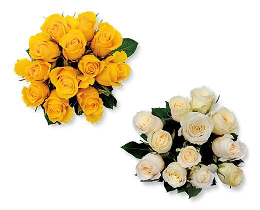 12 Stem Rose Bouquet Assorted Colors