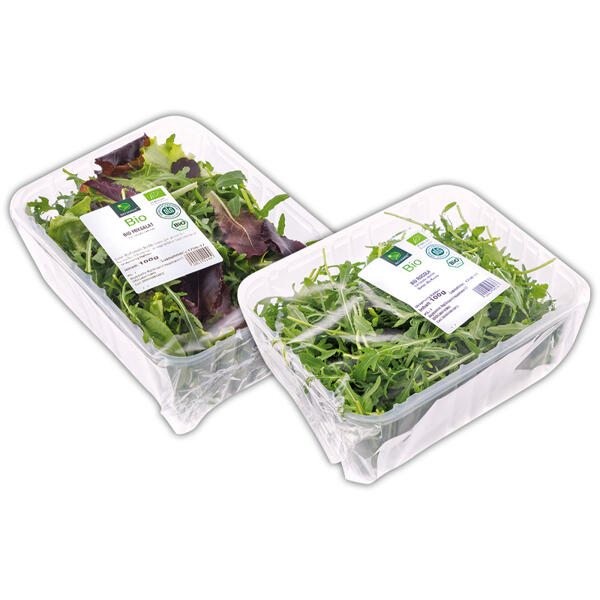 Bio-Salat