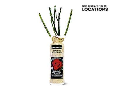 Gardenline 
 Premium Rose Bush Assorted Varieties