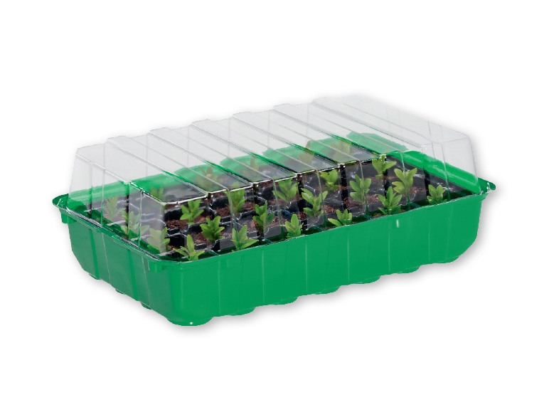 FLORABEST Seed Box Set