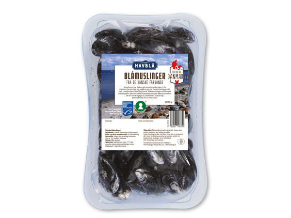 HAVBLÅ Blåmuslinger