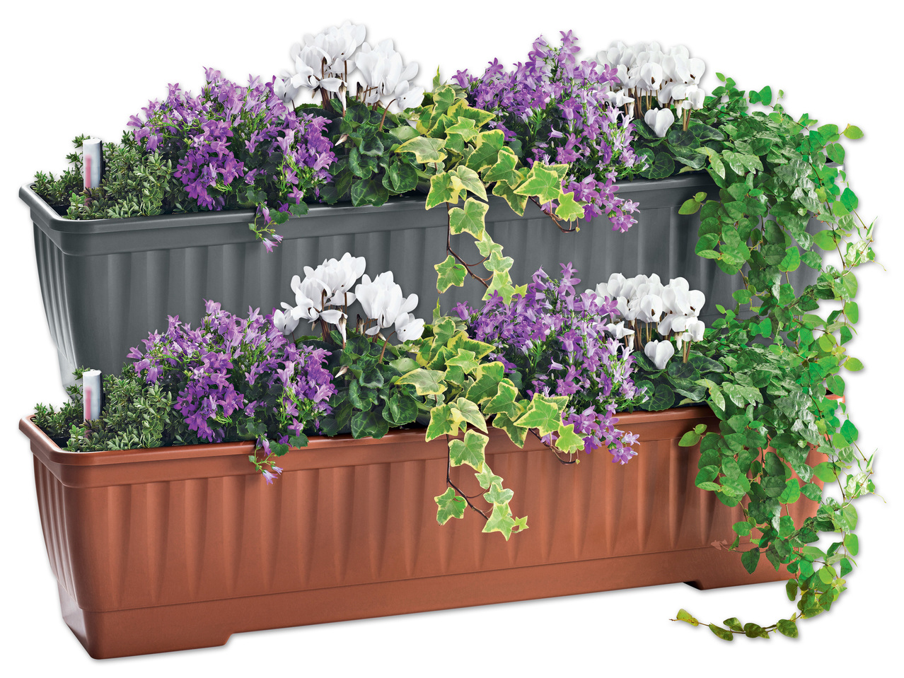 FLORABEST(R) Blumenkasten, 80 cm