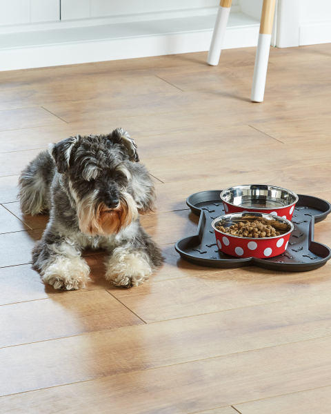 Beige Paws Pet Bowl Bundle Medium