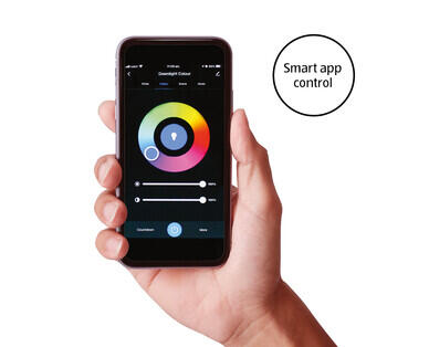 Smart LED Downlight