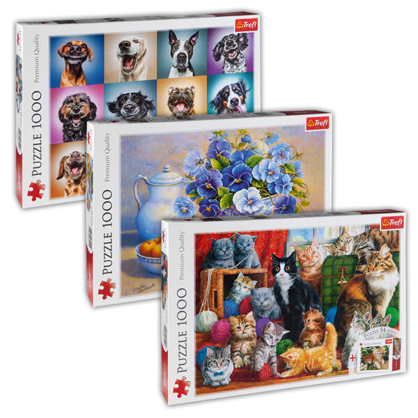 1000 Teile Puzzle