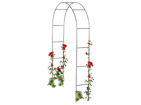 Rose Arch / Garden Obelisk