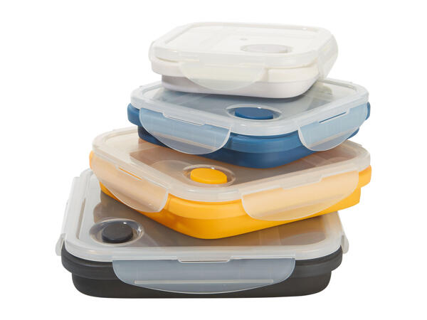 Ernesto Collapsible Storage Containers