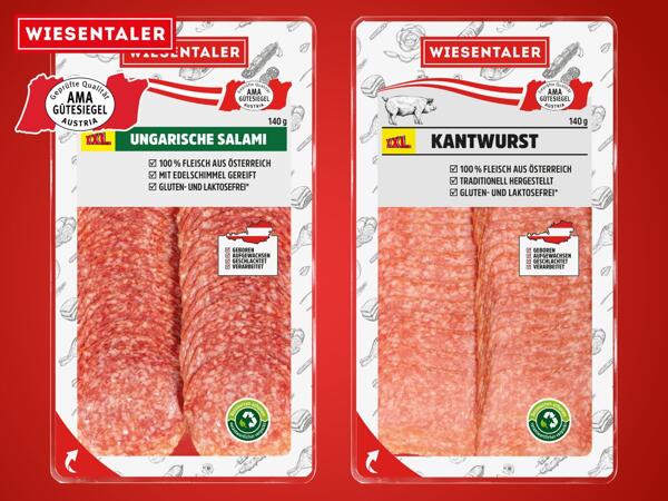 Ungarische Salami oder Kantwurst