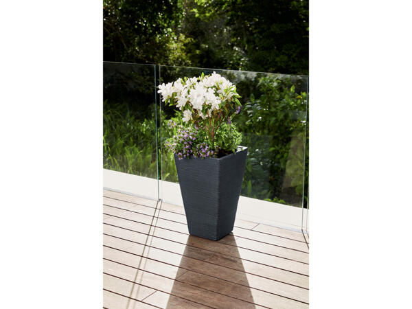 Blomkruka, 55 cm