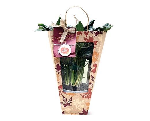 Decorated Foliage Bag Assorted Varieties