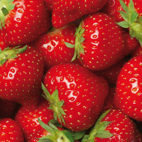 Erdbeeren