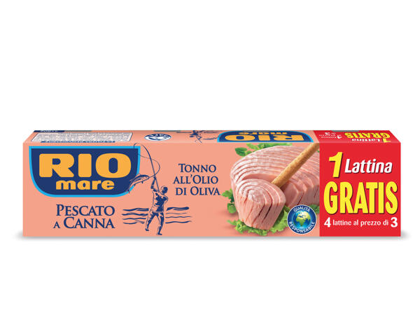 Tuna in Olive Oil
