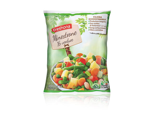Vegetable Soup