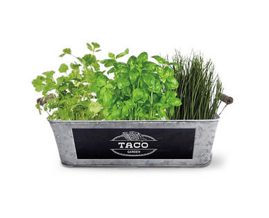 Herb Garden