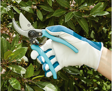 Bypass or Anvil Pruners