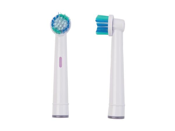 Electric Toothbrush