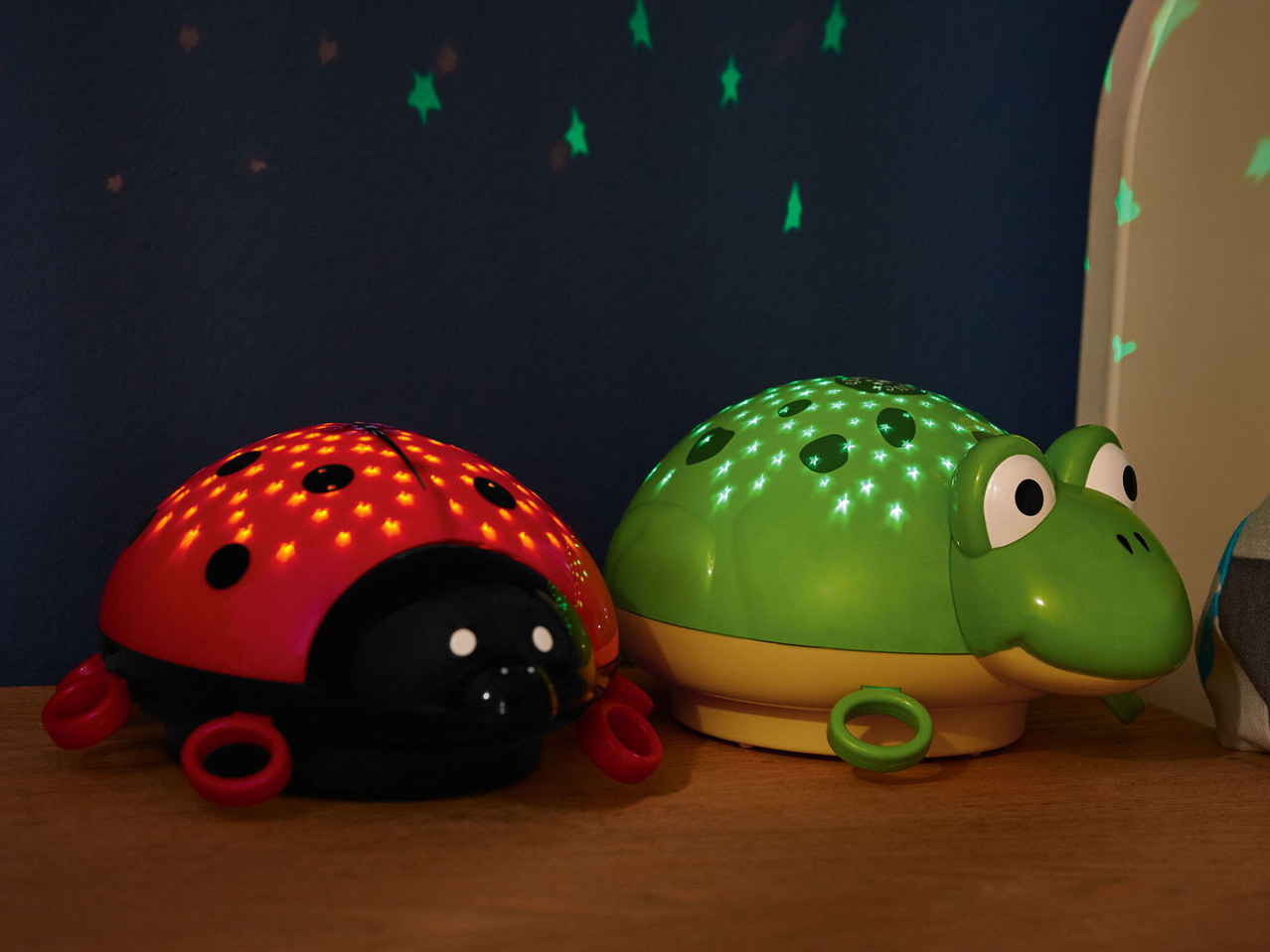 Starlight Ladybird or Frog