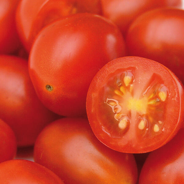 Naschtomaten Schale XXL