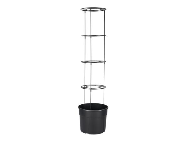 Kruka för tomatplantor