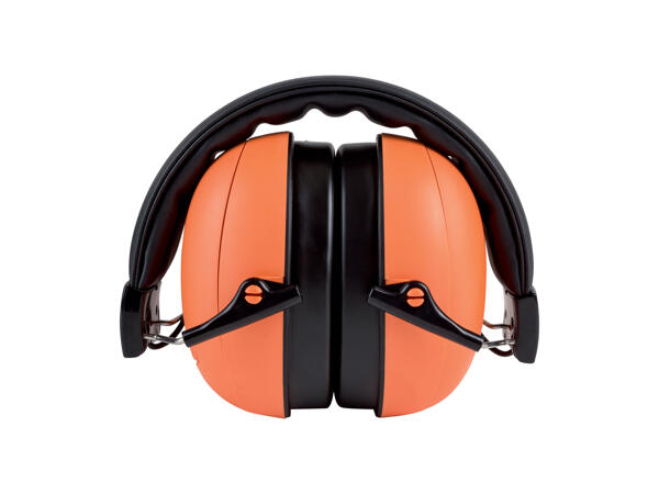 Bluetooth(R) Ear Defenders