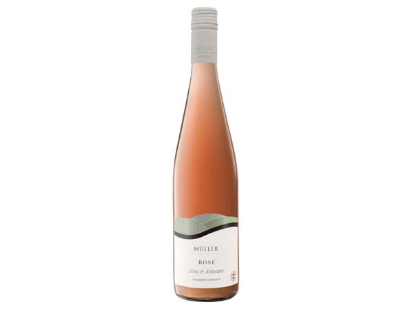 ROSÉ 2023 DOLNÍ RAKOUSKO