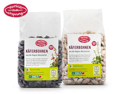 ZURÜCK ZUM URSPRUNG BIO-Käferbohnen