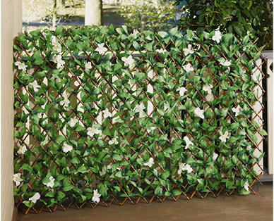 Expanding Artificial Leaf Screening