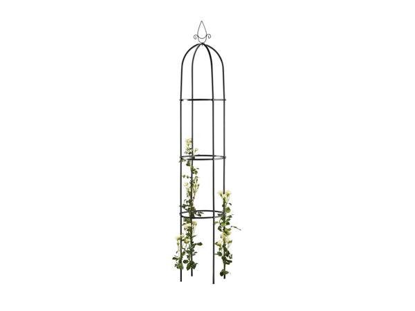 Livarno Home Rose Arch/​Garden Obelisk