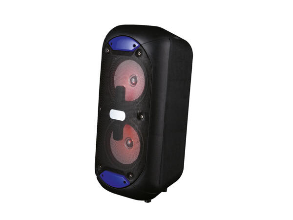 Bluetooth Party Speaker